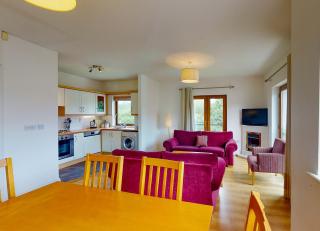 Lakeside Holiday Home No 30 - 2 Bed by Trident Holiday Homes - Killaloe - 7