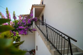 Apartmani Helena - Mali Lošinj (Lussinpiccolo) - 8