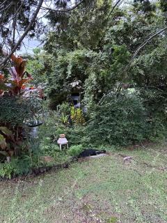 The singing frogs studio - Coffs Harbour - 8