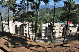 Woodsvilla Residency Ranikhet - Rānīkhet - 1
