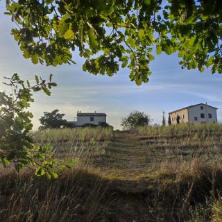 Tenuta La Castelluzza - Tuscania - 8