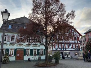 Skyline Appartement mit Pool and Netflix - Kronberg im Taunus - 5