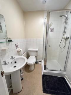 The Welsh Black Inn - Aberystwyth - 6