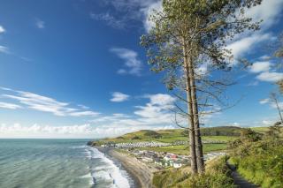 The Welsh Black Inn - Aberystwyth - 2