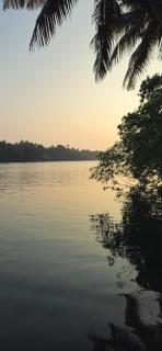 IslandStay-a riverside property - Kollam - 3
