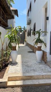 Aluna Beach Apartments - Nungwi - 4