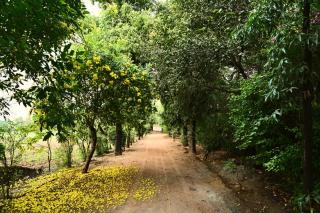 Tenpy Tiny Enchanting Tintin at Sheilma Farm, NCR - 8