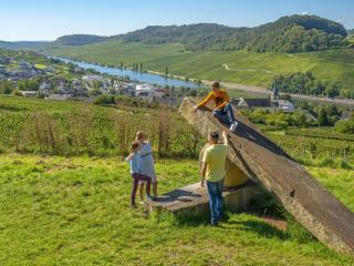 Appartements im Weingut Frieden-Berg - Nittel - 4