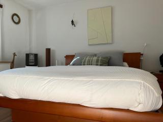 The Comfy Apartment - Ponte Capriasca - 4