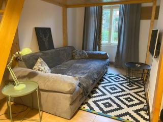 Cozy Garden Apartment in the heart of Prague - Praga - 8