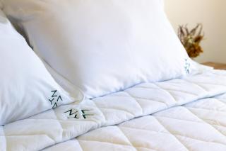 Zaya Beach House em Ilhabela - 7