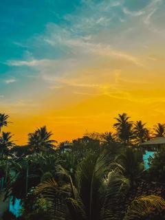The Calm Rest - Weligama - 2
