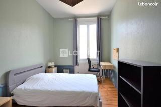 Grand appartement lumineux - Saint-Étienne - 2