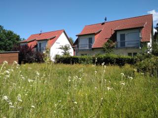 Alter Schulgarten - Loddin - 2