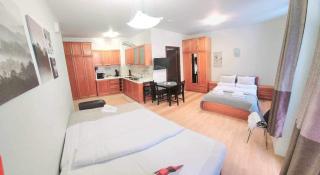 Arboro Flora Residence Studio - Borovets - 4