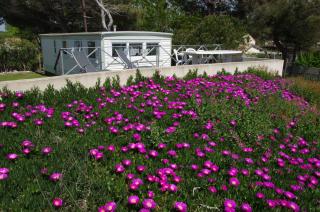 Mobil-home sur terrain privé bord de mer, parking privé - 7