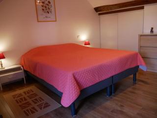 gite l'opale - Lailly-en-Val - 5
