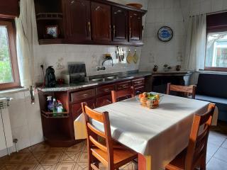 Ecorustics stay - Casa Estêvão - São Pedro do Sul - 8