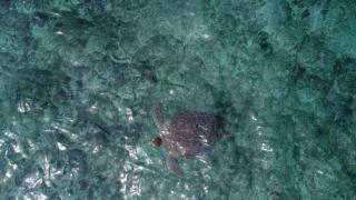 Sandy Beach Bungalows - Gili Air - 5