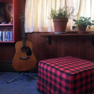 Panther Mountain Lodge - Phoenicia - 5