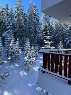Arboro Flora Residence Studio - Borovets - 3