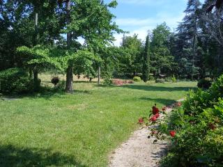 Maison calme avec piscine entourée de son parc - 5