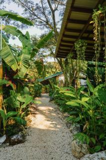 Dream Surf House Santa Teresa (Playa Hermosa) - Playa hermosa - 1
