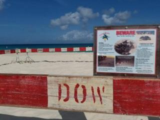 Beautiful Vibes Sun Kiss Serenity your Stylish Apt Just Steps from Eagle Beach - Palm/Eagle Beach - 1