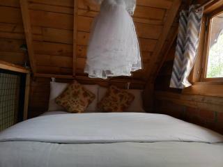 The Rustic Gorilla Cabin-Bwindi - Kanungu - 0