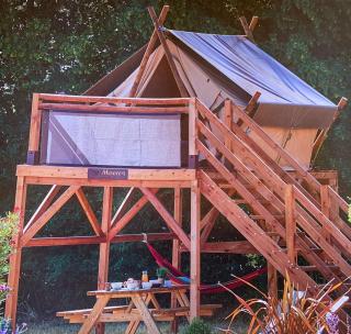 TENTE AU PLUS PROCHE DES ÂNES - Bressuire - 3