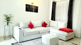 Luxurious Newly Fully Furnished Apartment - Nairobi - 0