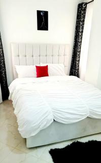 Luxurious Newly Fully Furnished Apartment - Nairobi - 3