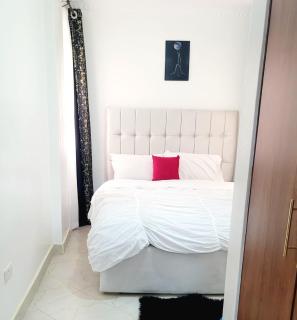 Luxurious Newly Fully Furnished Apartment - Nairobi - 2