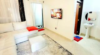 Luxurious Newly Fully Furnished Apartment - Nairobi - 8
