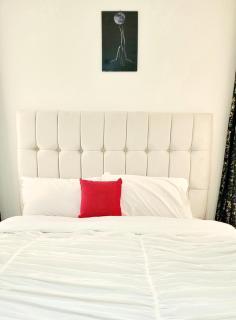 Luxurious Newly Fully Furnished Apartment - Nairobi - 9