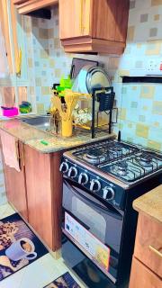 Luxurious Newly Fully Furnished Apartment - Nairobi - 1