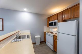 Allegheny241Hot/Tub/Pool,Ski In/Out,Village - 3