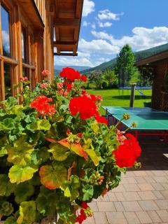 Ferienwohnungen Haus-Holzer - Mauterndorf - 4