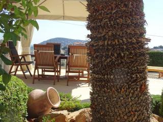 Luxurious Family friendly Villa Anavyssos - Anavissos - 1