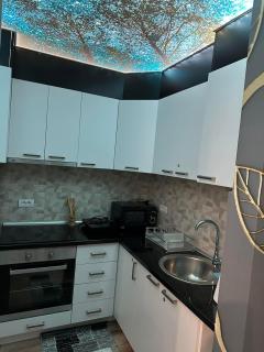 Apartman Maksim Banja Koviljača - Banja Koviljača - 3