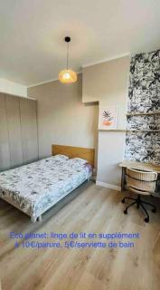 Appartement rénové proche du parc de la tête d'or - Villeurbanne - 1