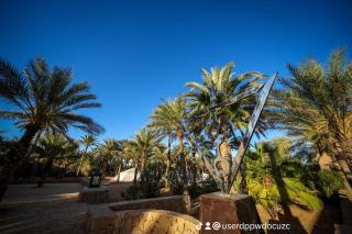 Hotel Pansy - Ksar Ghilane - 5