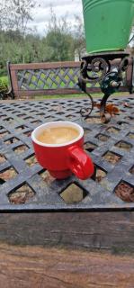 Rustic Retreat-Country House - 1