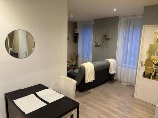 Le studio dijonnais - Dijon - 0