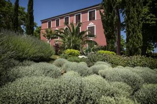 Hotel Villa Donat - Sveti Filip i Jakov - 1