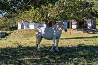 El Vergel - Villa Giardino - 0