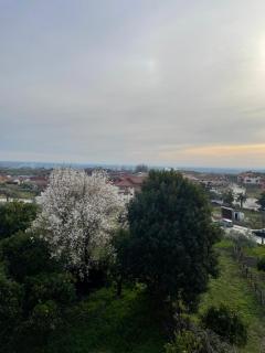 APARTAMENTO PURI - 1