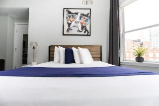 Charming Studio on Boston's Iconic Newbury St. #8 - Boston - 1