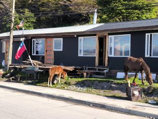 Refugio Jemmy Button - Puerto Williams - 0