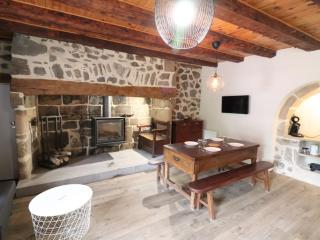 Gîte de caractère avec terrasse et cheminée - Animaux acceptés - FR-1-742-335 - Saint-Jacques-des-Blats - 8